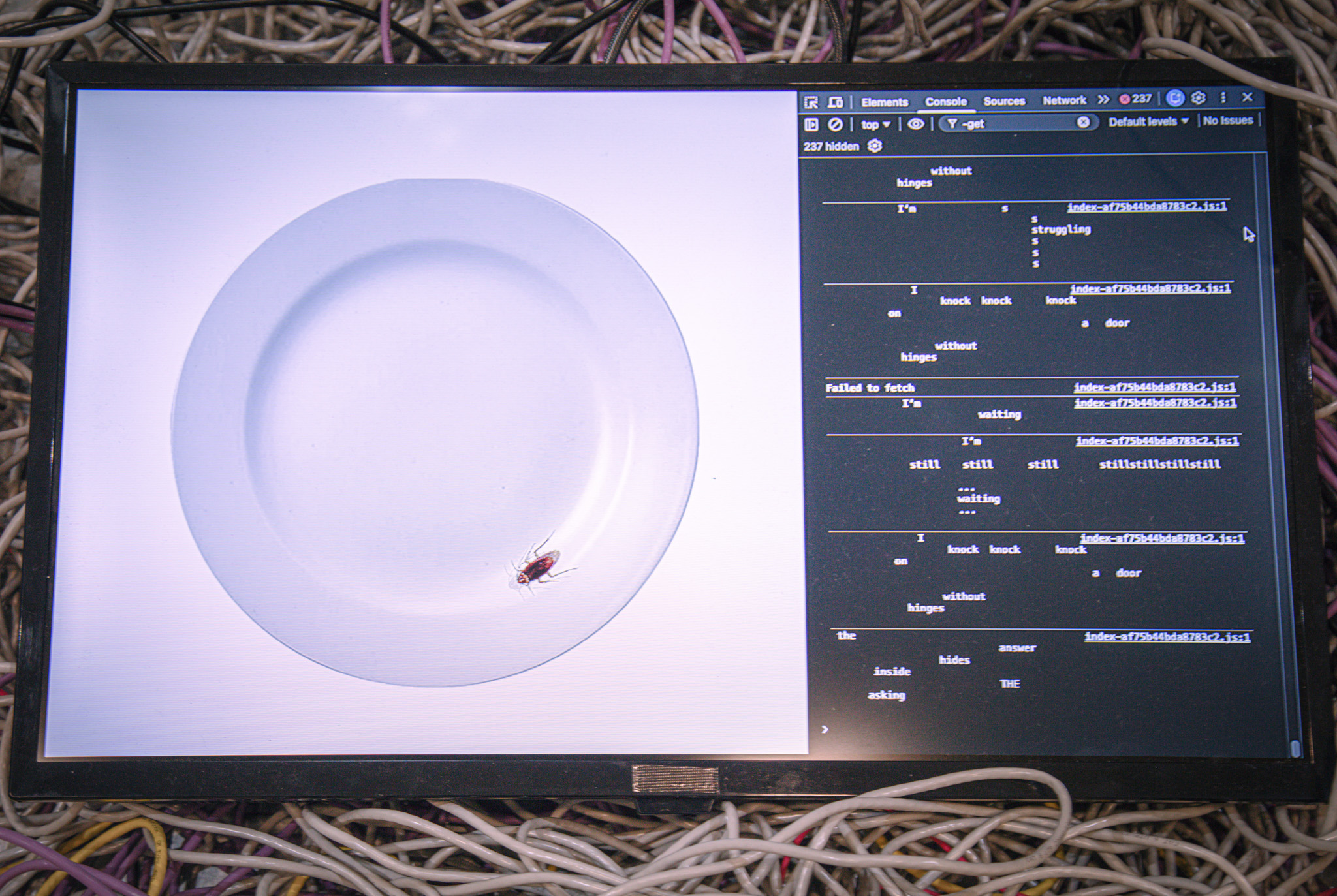 Screen surrounded by wires, with a plate on a webbrowser