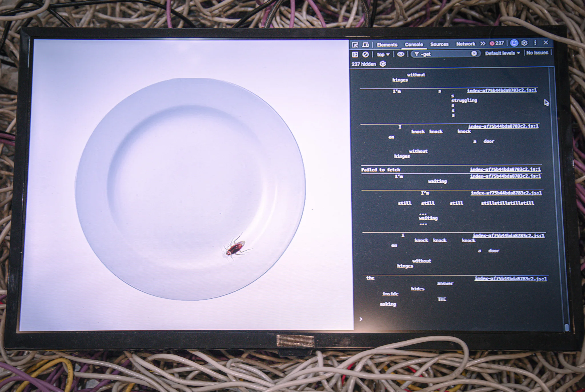 Screen surrounded by wires, with a plate on a webbrowser