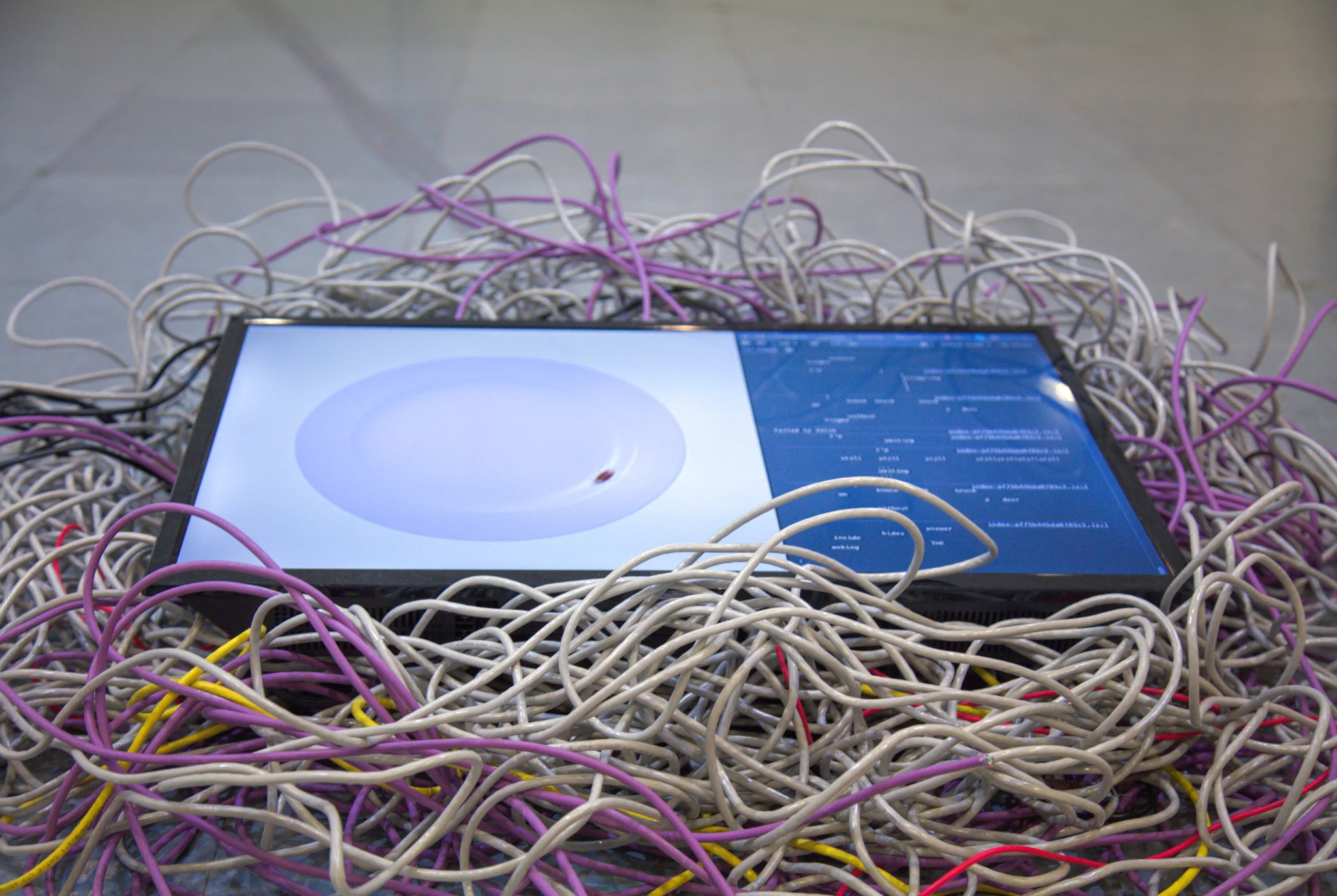 Screen surrounded by wires, with a plate on a webbrowser