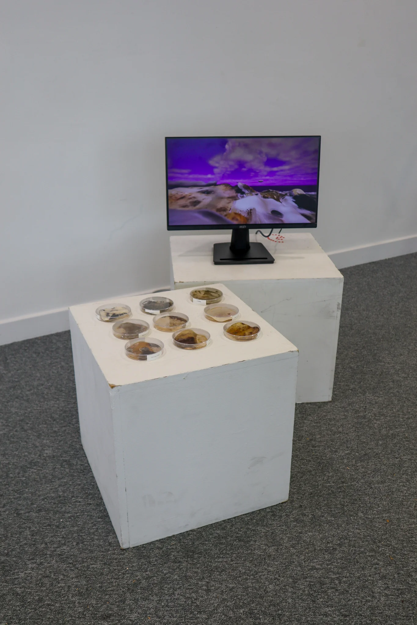 Artwork at Folder02